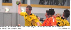 DSC vs. Elmar Herne WAZ (02.02.2016)
